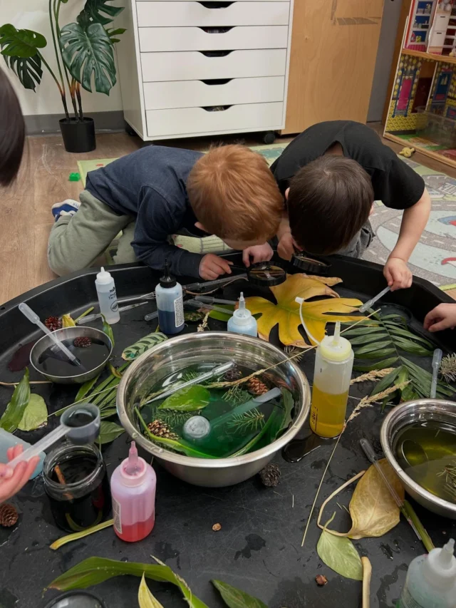 Table top fun for our little learners ✨

From curious infants to busy toddlers and growing preschoolers, today’s activities were all about exploring, creating, and building important skills through play 💛

🧸 Infants explored textures, colors, and sensory materials
🧩 Toddlers practiced fine motor skills, sorting, and simple problem-solving
🎨 Preschoolers engaged in creative art, early learning concepts, and independent play

These simple table top activities help develop focus, coordination, and confidence one small moment at a time 🌱

Learning through play is always the best way!

#EarlyLearning #ToddlerActivities #PreschoolFun #Daycare #LearningThroughPlay